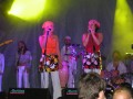 ABBA World Revival - 18